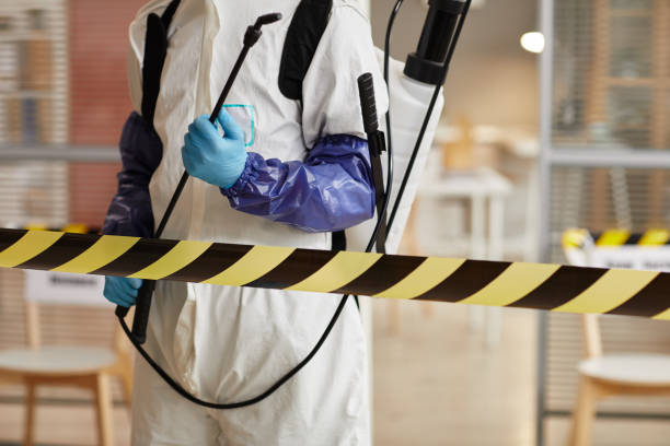 Professional Sewage Cleanup technician working in Orford, NH